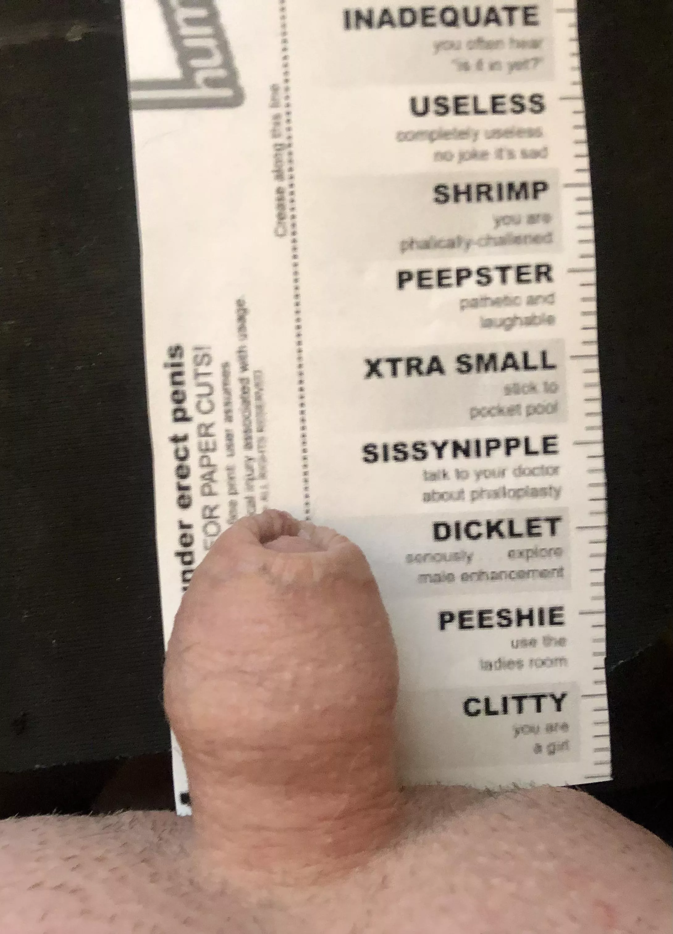 Dicklet. I thought I would be smaller. posted by sizeabledruid19
