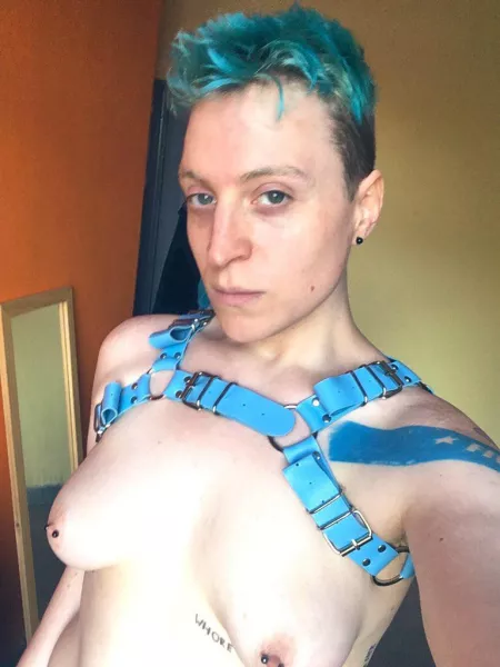 Did anyone order a bitchboy in leather? by scumtran