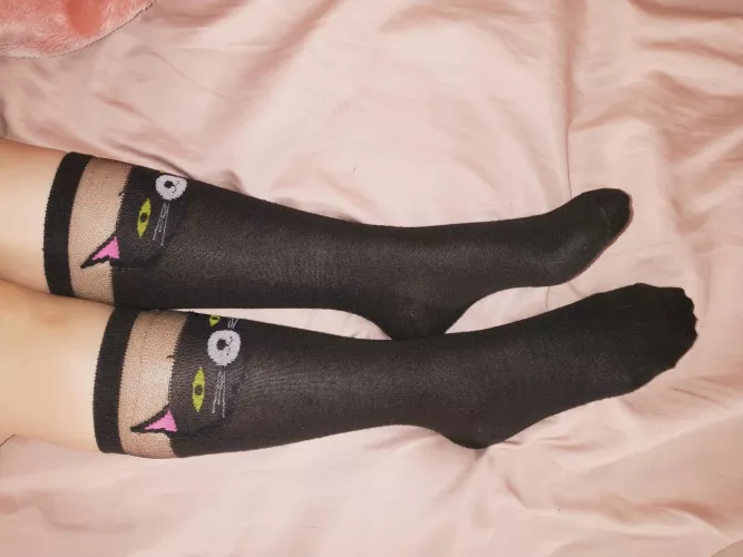 Did I cat 😺 your attention? Happy Halloween! by ImaginaryFormulas