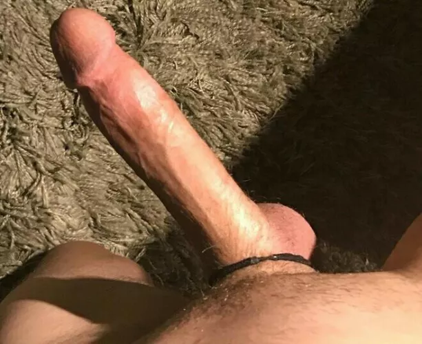 Did I get you to stop scrolling? by Great_Elk_4242