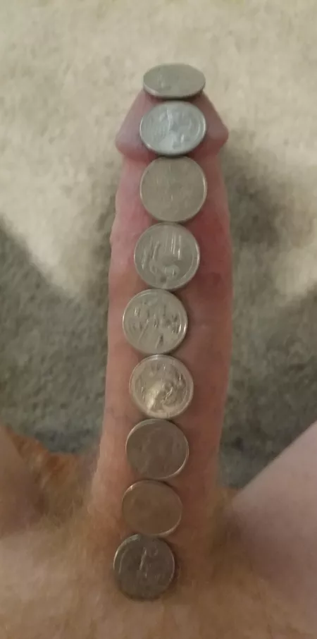 Did I pass the quarter challenge? by [deleted]