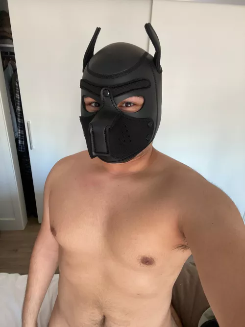 Did someone order a good boy?🐶 by PupRyanInSD