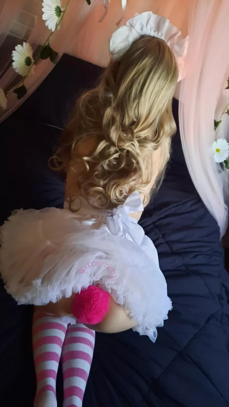 Did someone order a pet for service? 😼 Chores are way more funn with a tail butt plug in 🥵💘 by Puppermintyy