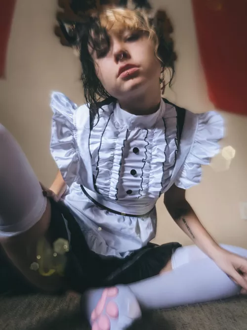 Did you know cats have whiskers on there knees? by Lil_Peachy_Fox