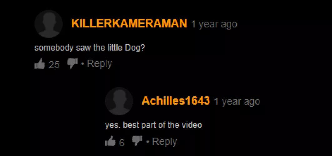 Did you see the dog by wrapitupboys