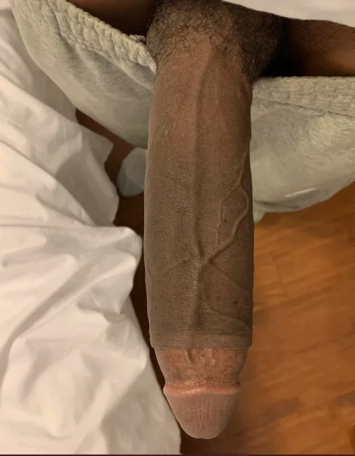 Did you stop scrolling? by TheBlackGuy_NextDoor