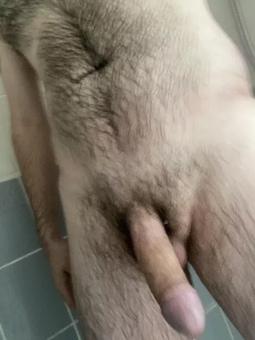 Did you stop scrolling to have a look? (30s from the U.K. DMs open) by Wolfskin1989