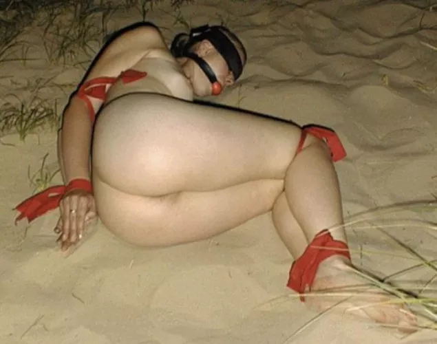 Didn’t expect to be in bondage at the beach did she by 69Sammie69