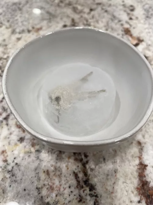 Didn’t have a lock box or numbered seals on me, went the 🧊 route by CagedInLace