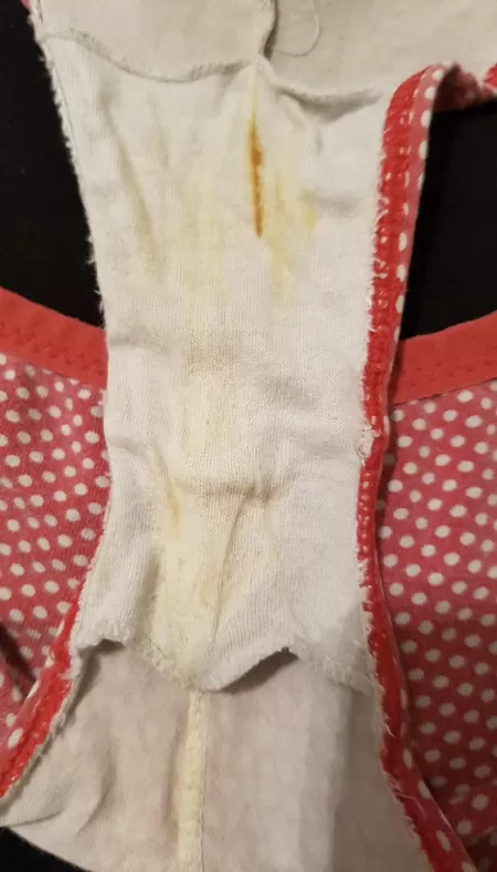 Didn’t realise how dirty the sister in laws panties get! 👀 by Particular-Gene-9131