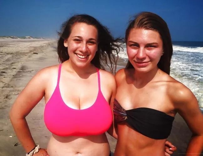 Different species on the same beach. by Federal_Salt_12