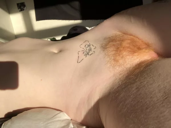 Dinner is served by stunnnedmullet