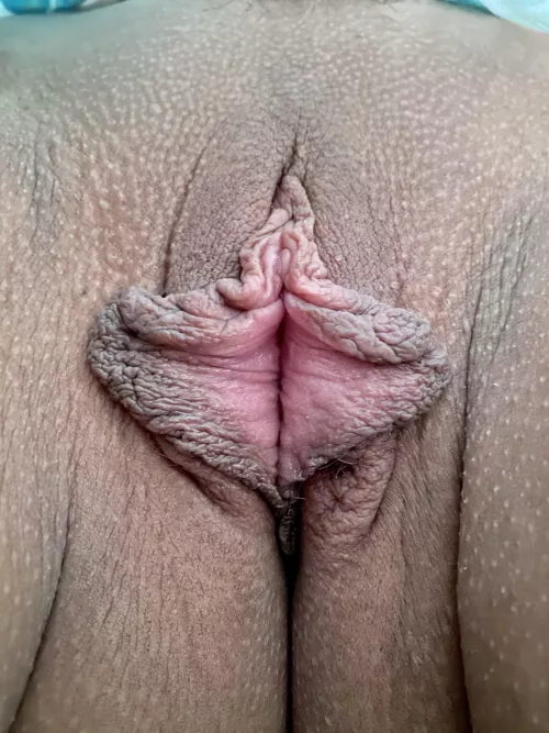 Dinner is served! by teddytank666