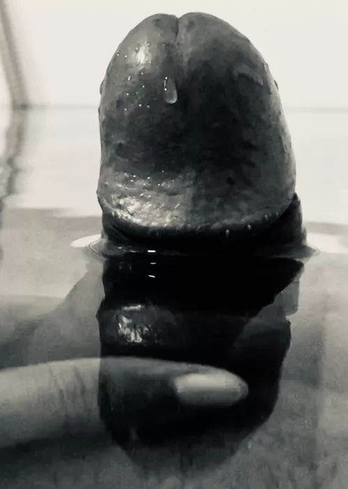 dip the tip by kakhil