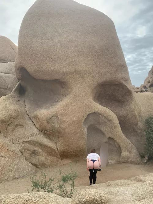 Discover the wild outdoors by woodyandwhooty