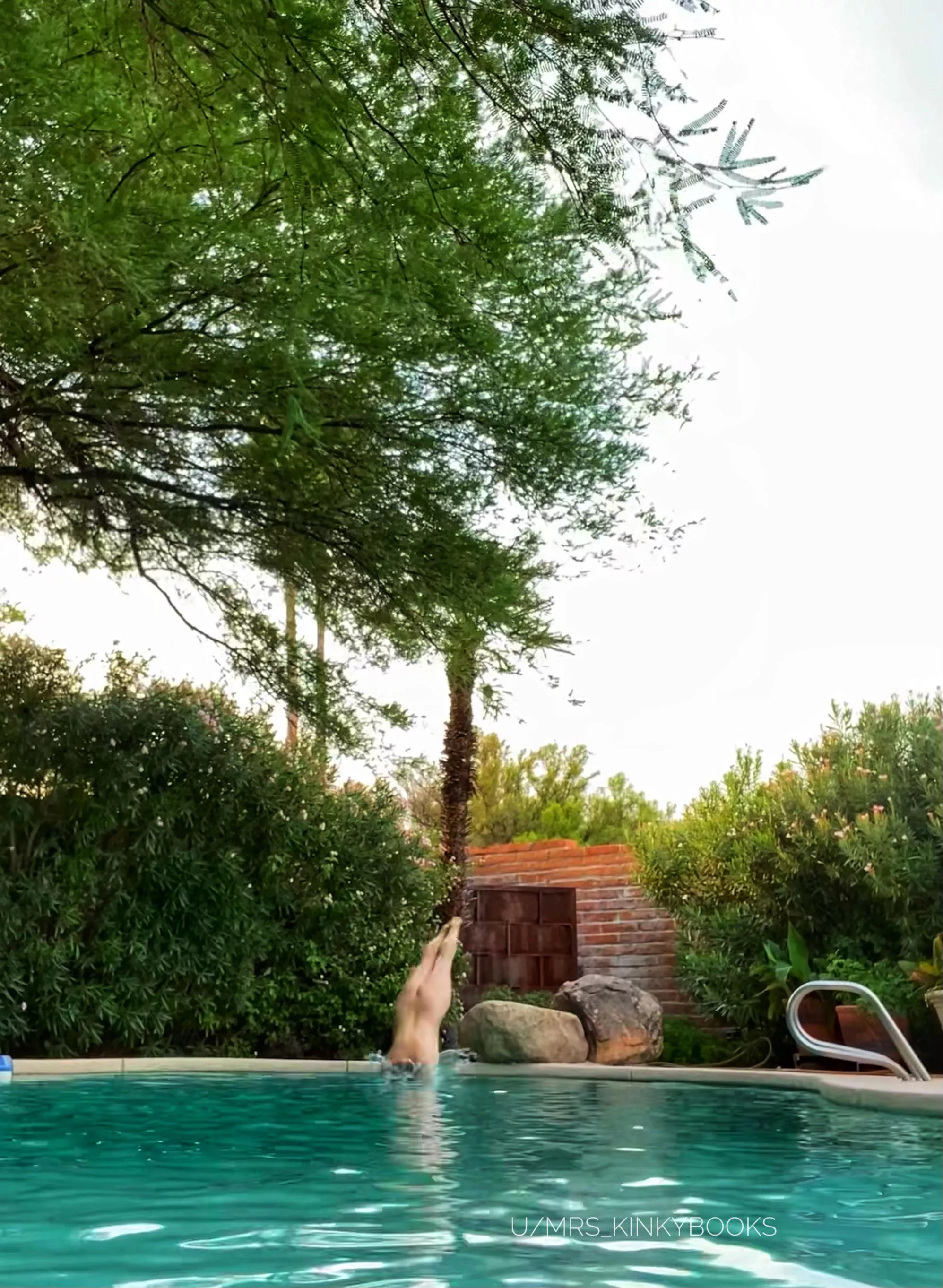 Dive in! posted by mrs_kinkybooks