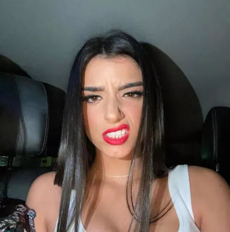 Dixie always makes me so bi by jbud77