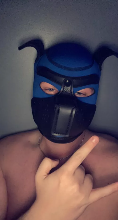 DL Bi Closeted College Bro. Just learned about this not long ago, and I got my hood yesterday. Looking for friends/mentors, DM me if you’re interested in this Jock Pup by jakecarr24