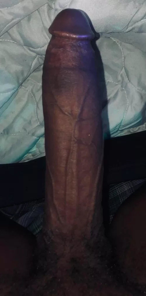 DM for a taste or my Snap. by DifficultyUsed259