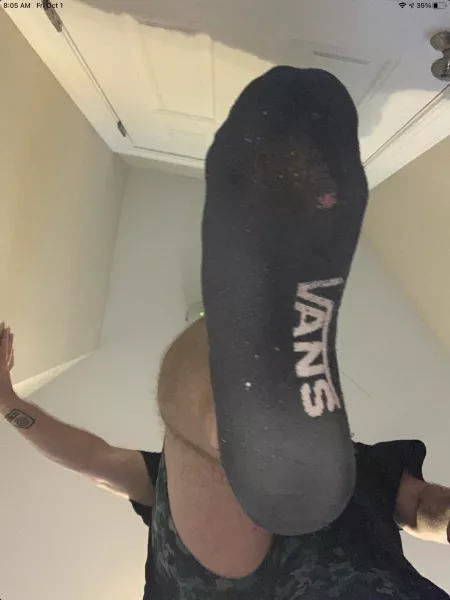 Dm for customs by Mikael13249