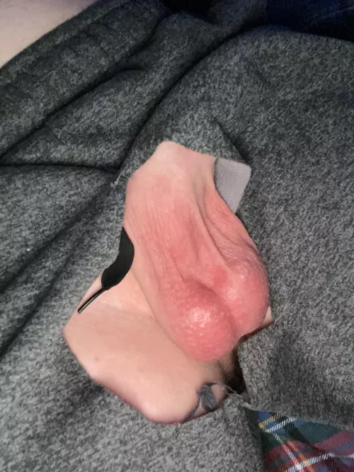 Dm me asap to help me drain my low hanging teen balls by Mrlongballz