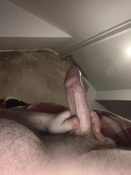 Do I belong? (Ignore the background currently redecorating) by danielweatherhead96