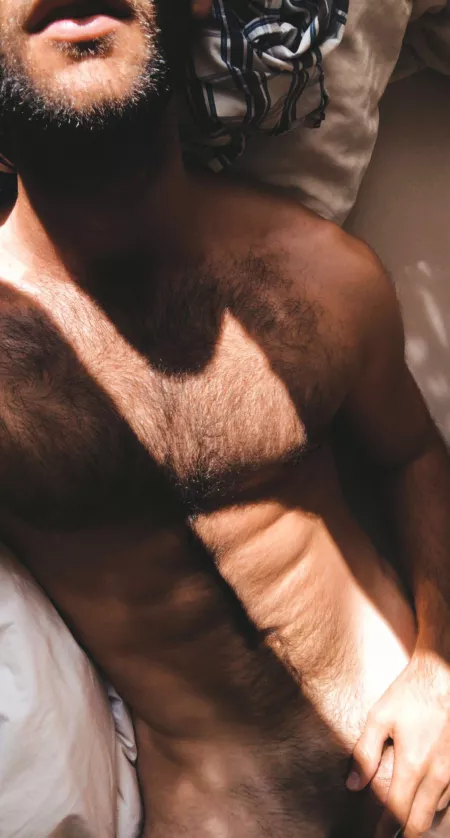 Do I look comfy in the sun? by Wolf_Logs