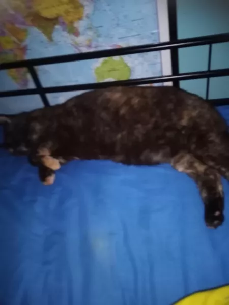 Do I look cute ohhhhhhh I really dooo by Buer589