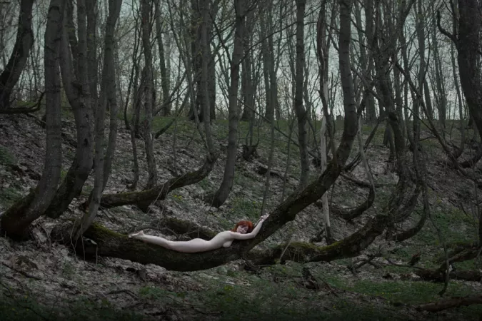 Do not disturb by paredocks