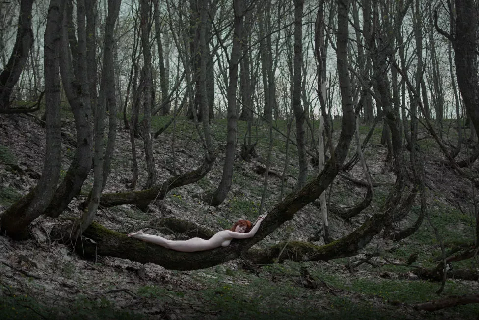 Do not disturb posted by paredocks