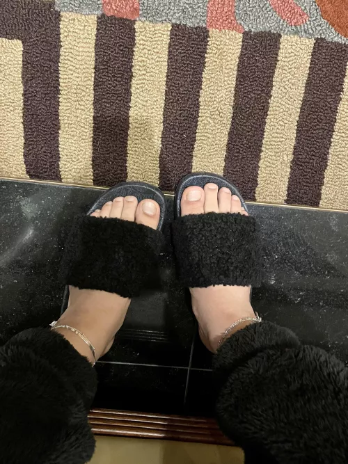 Do o have cute feet? by biglizardlover88