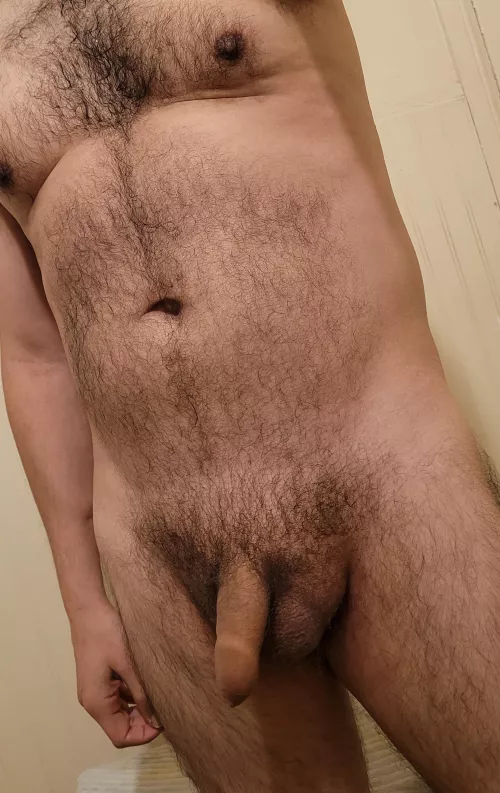 Do people like chest hair? by EL_diabl0_