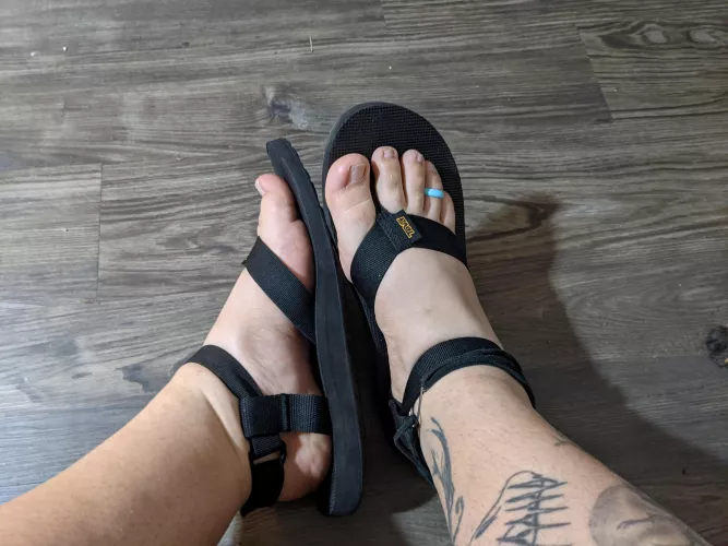 Do these look cute? by Due_Recognition_9793