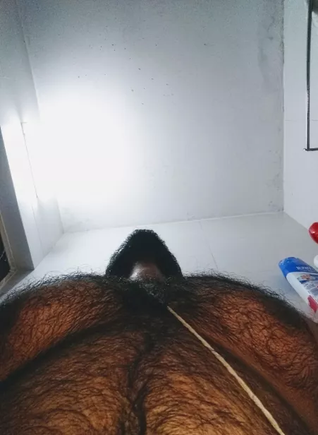 Do you find something phallic here? #hairyenoughforya? by LandParticular9305