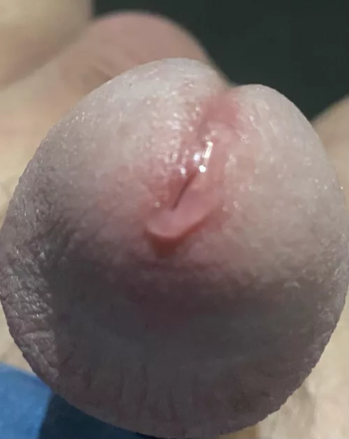 Do you like a close up? If so feel free to take a taste. by Accomplished-Jello84