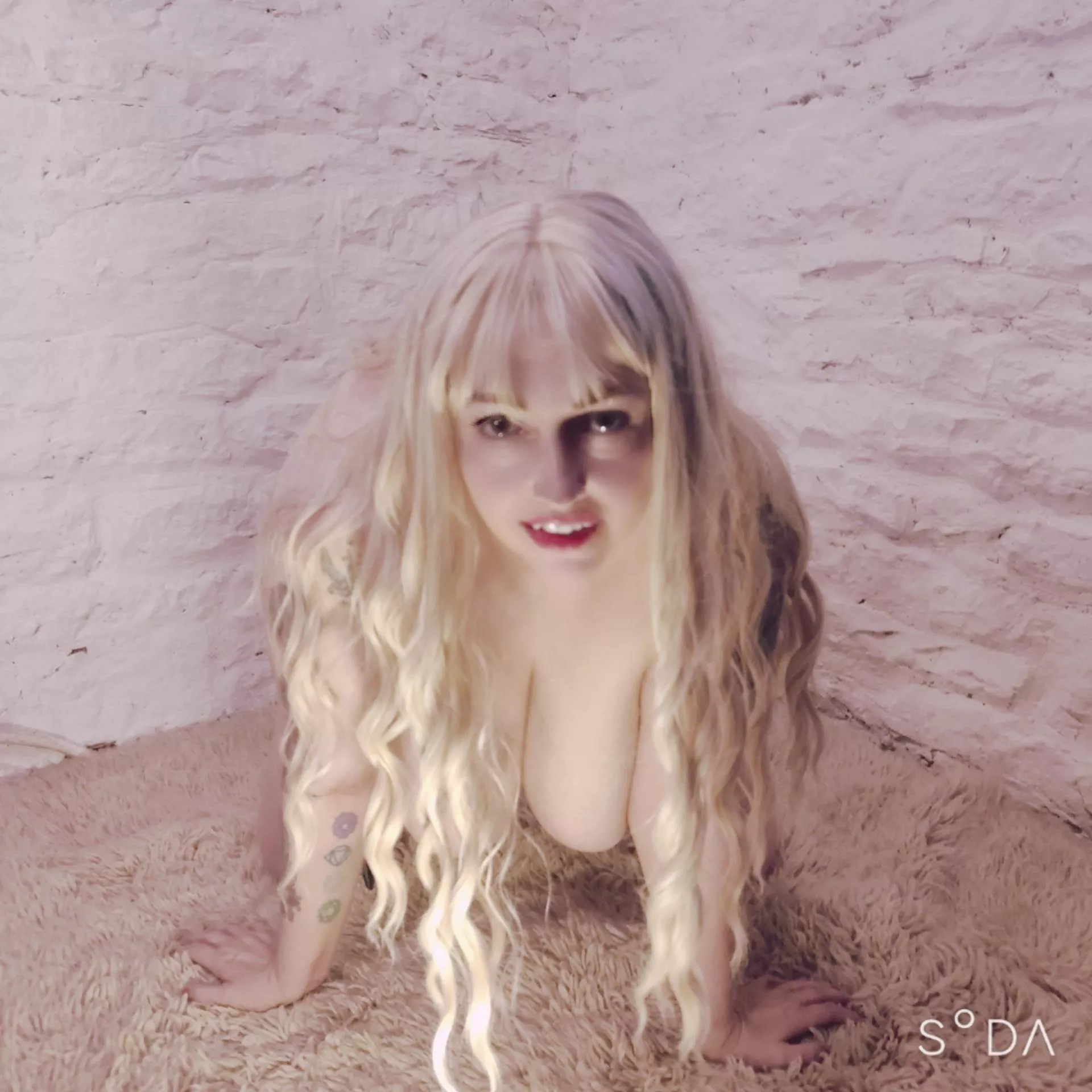 Do you like 'em big and juicy? posted by wholelottastella