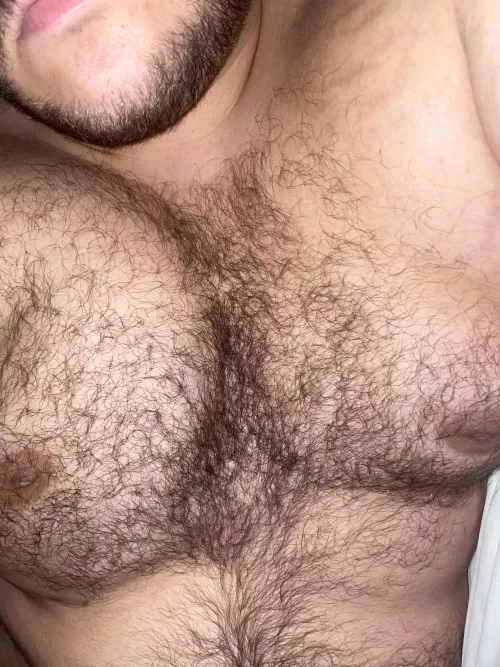 Do you like fur? by Hairbair12