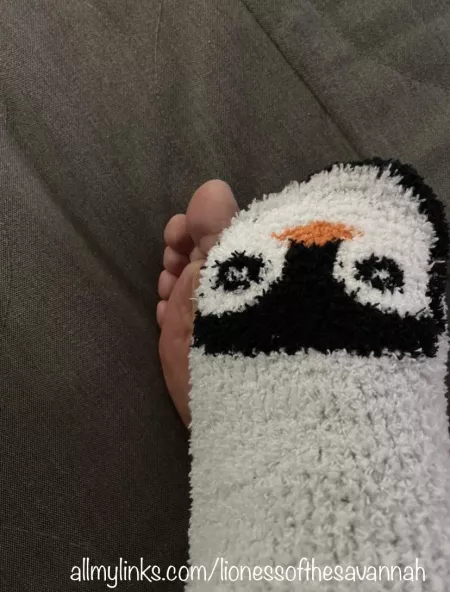Do you like fuzzy socks? by Savannahs_Feet