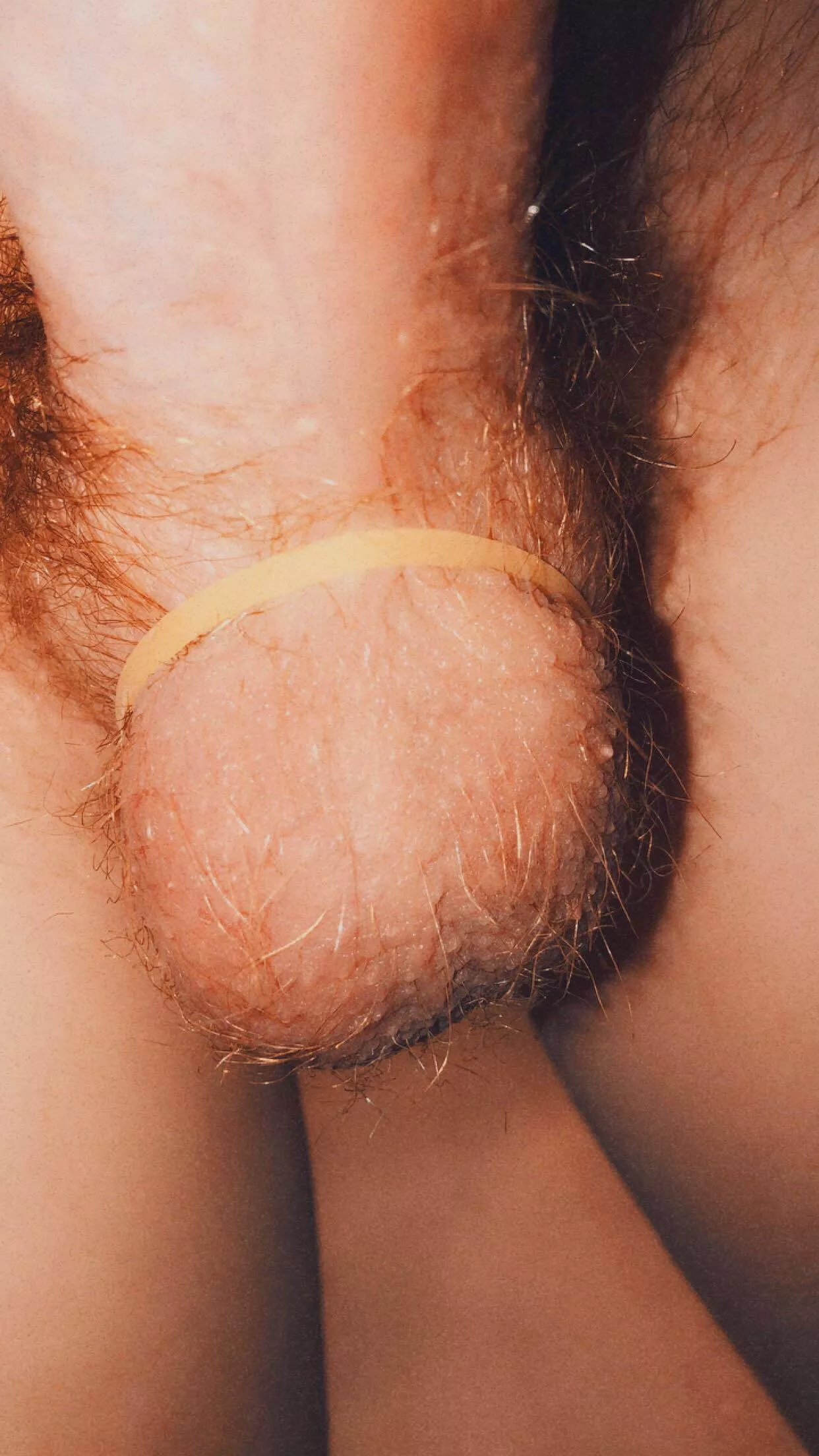 Do you like ginger balls?🔥 posted by garybills