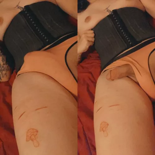 do you like girl bulges? 💕 by PrincessNihil666