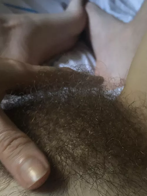Do you like hairy and nasty? by indieonline