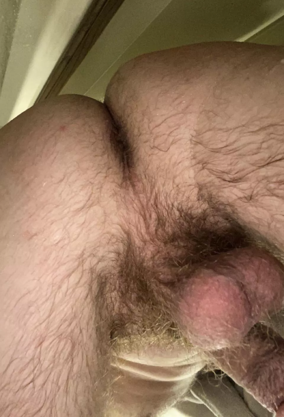 Do you like hairy taint posted by SingleMusician9651
