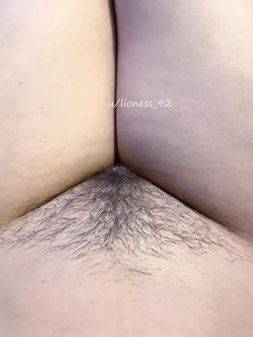 Do you like it neat or bushy? 🙄 by lioness_92