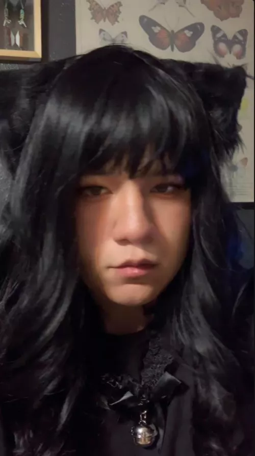 Do you like mixed tgirls? by xaoyi