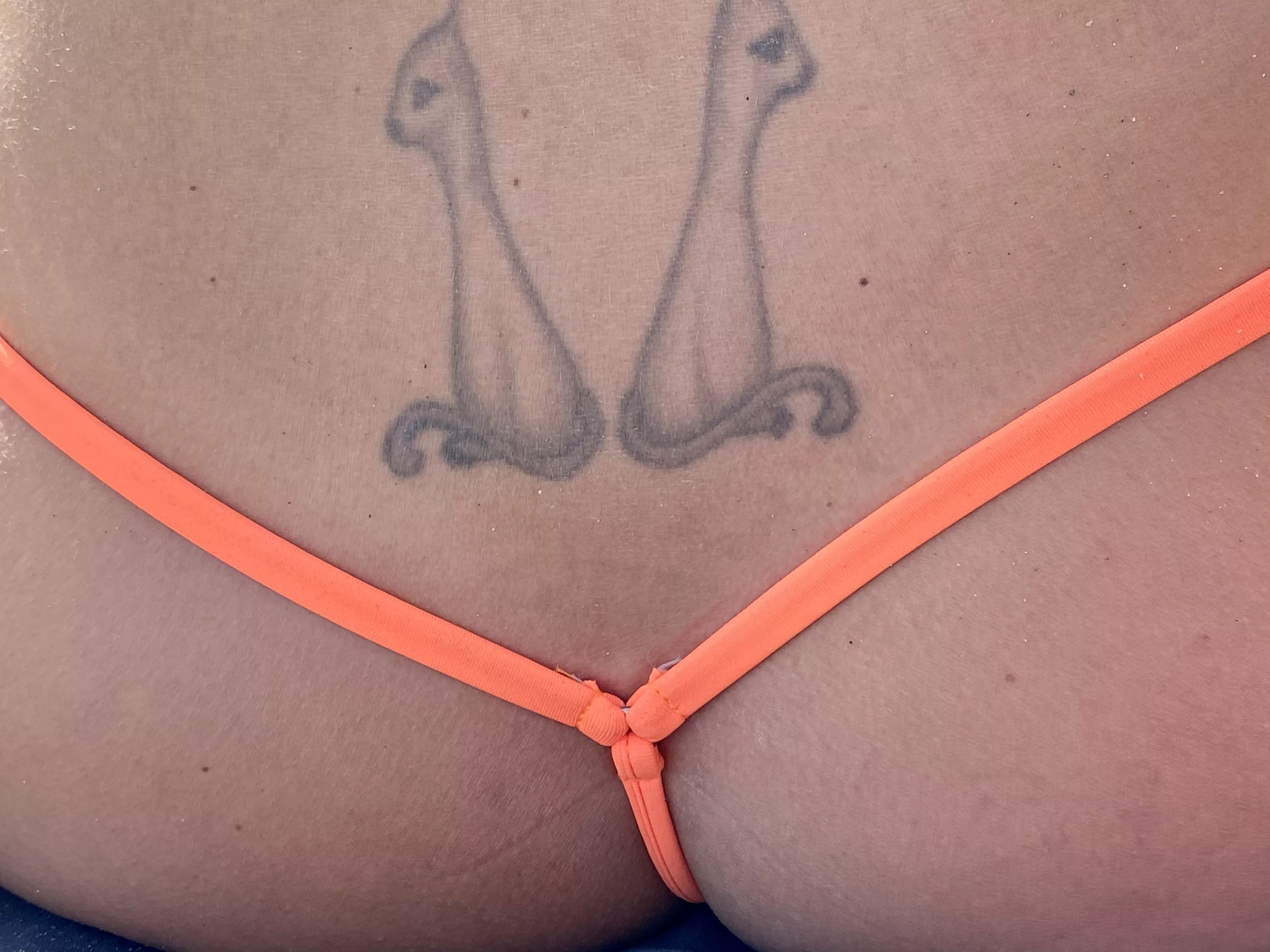 Do you like my cats ? posted by Gaia_On_Top