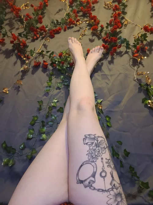 Do you like my Christmas wall? by SekushiKitten97