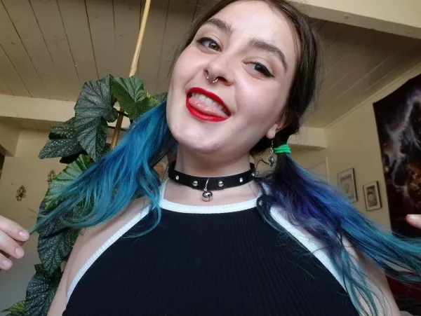 Do you like my collar? by yourstoxically