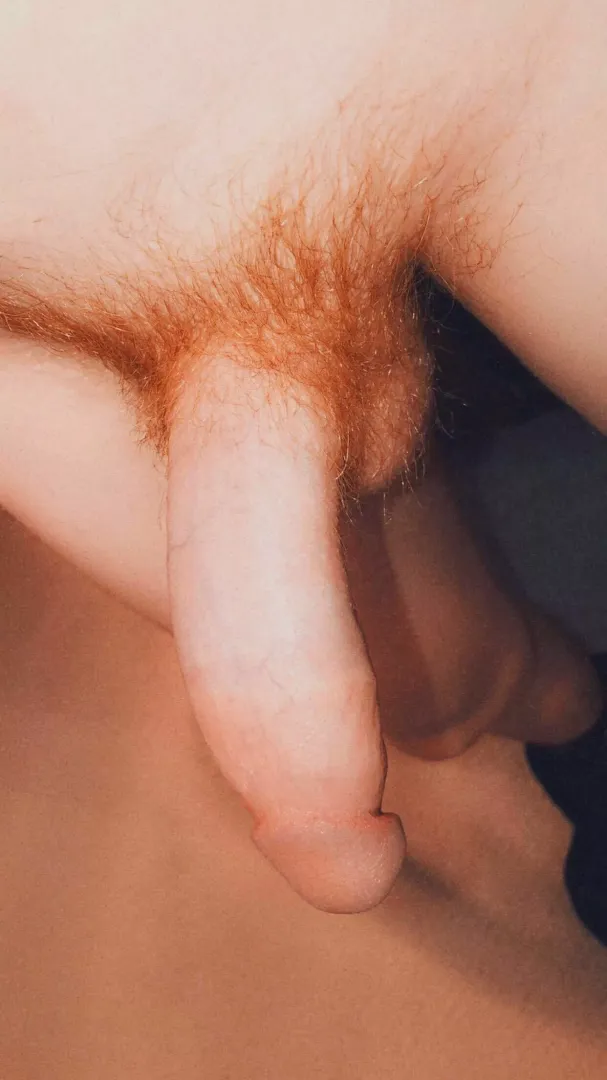 Do you like my fire bush?🔥 posted by garybills