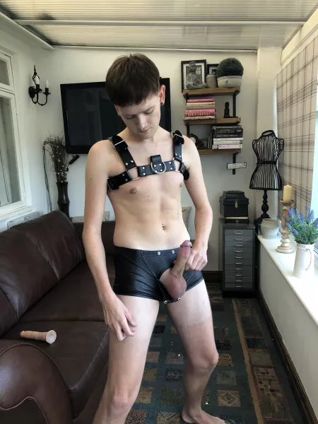 Do you like my harness? by EdgyTwinkRory