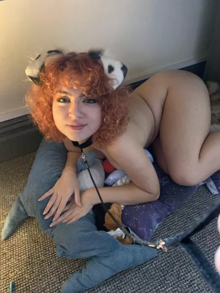 Do you like my little puppy desk bed? 🥺🙈 by cinnamonselkie